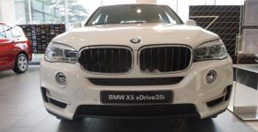 BMW X5 xDrive35i 2019 - Bán BMW X5 xDrive35i sản xuất năm 2019, màu trắng, nhập khẩu   giá 3 tỷ 599 tr tại Tp.HCM