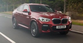 BMW X4 x20i 2019 - Bán ô tô BMW X4 x20i đời 2019, màu đỏ, nhập khẩu nguyên chiếc giá 2 tỷ 959 tr tại Đà Nẵng