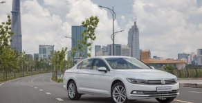 Volkswagen Passat Bluemotion 2019 - Đẳng cấp doanh nhân - Volkswagen Passat Bluemotion giá 1 tỷ 480 tr tại Tp.HCM