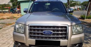 Ford Everest AT 2009 - Đổi xe cần bán xe Everest 2009, số tự động, máy dầu, màu xám giá 393 triệu tại Tp.HCM