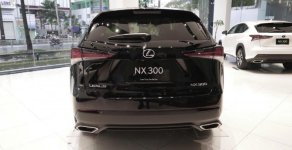 Lexus NX   300 2019 - Bán xe Lexus NX 300 sản xuất 2019, màu đen, nhập khẩu giá 2 tỷ 510 tr tại Tp.HCM