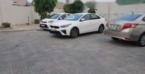 Kia Cerato   2019 - Cần bán gấp xe Kia Cerato đời 2019, màu trắng giá 600 triệu tại Tiền Giang
