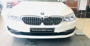 BMW 5 Series 530i Luxury Line 2018 - Bán xe BMW 5 Series 530i Luxury Line đời 2018, màu trắng, xe nhập giá 3 tỷ 39 tr tại Tp.HCM