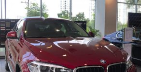 BMW X6 xDrive35i  2019 - Bán BMW X6 xDrive35i 2019, phiên bản xDrive35i giá 3 tỷ 969 tr tại Đà Nẵng