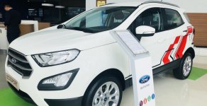 Ford EcoSport Trend 2019 - Bán xe Ford EcoSport Trend năm sản xuất 2019, màu trắng giá 583 triệu tại Tp.HCM