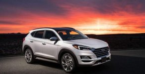 Hyundai Tucson 2019 - Bán Hyundai Tucson 2019, màu bạc, nhập khẩu, xe mới 100% giá 850 triệu tại Đồng Nai