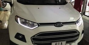 Ford EcoSport MT 2016 - Cần bán Ford EcoSport MT 2016, màu trắng, nhập khẩu nguyên chiếc, xe nhà sử dụng chính chủ giá 480 triệu tại Bình Dương