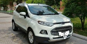 Ford EcoSport   Titanium 2014 - Cần bán Ford EcoSport Titanium sản xuất 2014, màu trắng, 450 triệu giá 450 triệu tại Tp.HCM