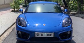 Porsche Cayman 2015 - Bán ô tô Porsche Cayman, màu xanh lam nhập khẩu nguyên chiếc giá 3 tỷ 200 tr tại Tp.HCM