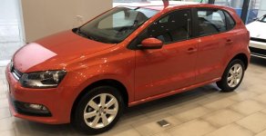 Volkswagen Polo 1.6 AT  2019 - Bán Volkswagen Polo đời 2019, xe nhập giá 599 triệu tại Tp.HCM