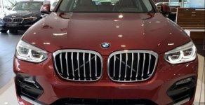 BMW X4 2018 - Cần bán BMW X4 sản xuất năm 2018, màu đỏ, nhập khẩu nguyên chiếc giá 2 tỷ 959 tr tại Tp.HCM