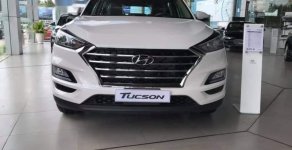 Hyundai Tucson  2.0 2019 - Bán Hyundai Tucson đời 2019, màu trắng, 799 triệu giá 799 triệu tại Cần Thơ