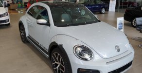 Volkswagen Beetle Dune 2018 - Bán Volkswagen Beetle Dune 2.0 TSI bản Final 2019 - Thiết kế thiên hướng thể thao, lai Crossover cá tính giá 1 tỷ 499 tr tại Tp.HCM