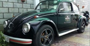 Volkswagen Beetle 1980 - Bán Volkswagen Beetle năm sản xuất 1980, nhập khẩu nguyên chiếc chính chủ giá 300 triệu tại An Giang