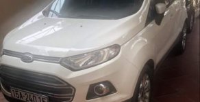 Ford EcoSport   Titanium 1.5   2015 - Bán xe Ford EcoSport Titanium 1.5 sản xuất 2015, màu trắng giá 450 triệu tại Nam Định