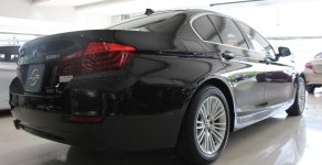 BMW 5 Series 520i 2014 - Bán ô tô BMW 5 Series 520i sản xuất năm 2014, màu đen, nhập khẩu giá 1 tỷ 320 tr tại Tp.HCM