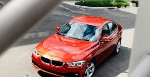 BMW 3 Series  320i   2018 - Bán BMW 320i năm 2018, xe nhập giá 1 tỷ 619 tr tại Cần Thơ
