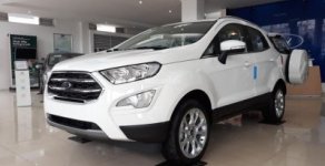 Ford EcoSport 2019 - Tôi muốn bán xe Ecosport màu trắng đời 2019, màu trắng với giá siêu ưu đãi và cực hấp dẫn giá 545 triệu tại Tây Ninh