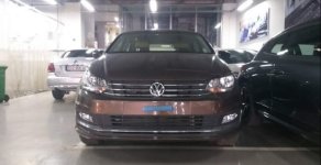 Volkswagen Polo   2017 - Bán Volkswagen Polo đời 2017, màu nâu, nhập khẩu  giá 699 triệu tại Tp.HCM