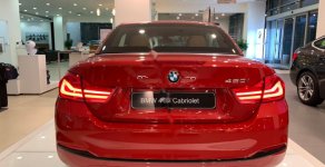 BMW 4 Series 420   2018 - Cần bán xe BMW 4 Series 420 sản xuất 2018, màu đỏ, nhập khẩu nguyên chiếc giá 2 tỷ 850 tr tại Hà Nội