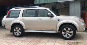 Ford Everest Limited 2009 - Bán ô tô Ford Everest Limited năm sản xuất 2009, màu vàng, giá tốt giá 485 triệu tại Tp.HCM