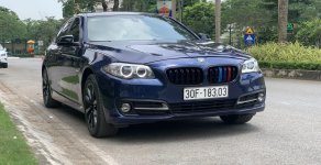 BMW 5 Series 520i 2016 - Bán ô tô BMW 5 Series 520i đời 2016, màu xanh lam, nhập khẩu chính hãng giá 1 tỷ 600 tr tại Hà Nội
