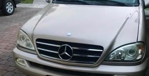 Mercedes-Benz ML Class ML500 2003 - Bán Mercedes ML500 SX 2003, màu bạc chính chủ, giá tốt giá 345 triệu tại Tp.HCM
