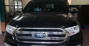 Ford Everest 2016 - Cần bán xe Ford Everest năm 2016, màu đen, nhập khẩu còn mới giá 1 tỷ 200 tr tại Hà Nội