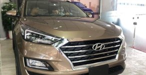 Hyundai Tucson   2.0 AT  2019 - Bán Hyundai Tucson 2.0 AT đời 2019, xe mới 100% giá 799 triệu tại BR-Vũng Tàu