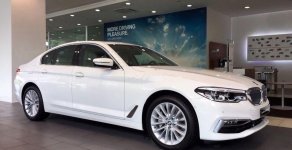 BMW 5 Series  530i  2019 - Bán BMW 5 Series 530i đời 2019, màu trắng, xe nhập giá 2 tỷ 991 tr tại Tp.HCM