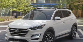 Hyundai Tucson  Facelif  2019 - Bán xe Hyundai Tucson Facelif 2019, màu trắng xe giao ngay giá 910 triệu tại Lâm Đồng