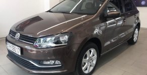 Volkswagen Polo 1.6AT 2019 - Bán Volkswagen Polo 1.6AT 2019, màu nâu, xe nhập giá 695 triệu tại Tp.HCM