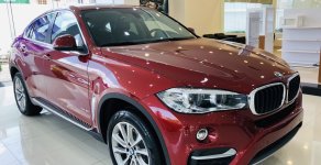 BMW X6 2019 - Bán BMW X6 35i Coupe, màu đỏ, xe nhập khẩu Đức, hầm hố, thể thao giá 3 tỷ 969 tr tại Tp.HCM