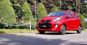 Kia Morning 2019 - Cần bán Kia Morning đời 2019, màu đỏ giá cạnh tranh giá 299 triệu tại Phú Yên