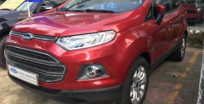 Ford EcoSport Titanium 2014 - Bán Ford EcoSport Titanium sản xuất năm 2014, màu đỏ, hỗ trợ vay 75% giá 465 triệu tại Tp.HCM