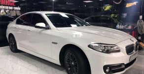 BMW 5 Series 520i 2015 - Bán BMW 5 Series 520i năm sản xuất 2015, màu trắng giá 1 tỷ 300 tr tại Hà Nội