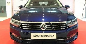 Volkswagen Passat Bluemotion 2019 - Bán Volkswagen Passat Bluemotion SX 2019, màu xanh lam, nhập khẩu nguyên chiếc giá 1 tỷ 480 tr tại Khánh Hòa