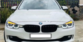BMW 3 Series 320i 2014 - Bán BMW 3 Series 320i sản xuất 2014, màu trắng, nhập khẩu giá 950 triệu tại Tp.HCM