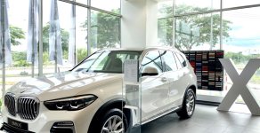 BMW X5 2019 - Bán xe BMW X5 đời 2019, trắng, nhập khẩu 100% từ Đức giá 4 tỷ 199 tr tại Tp.HCM