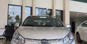 Toyota Wigo 1.2G MT 2019 - Bán Toyota Wigo 1.2G MT năm 2019, màu bạc, xe nhập giá 315 triệu tại Bắc Ninh
