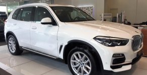 BMW X5 xDrive40i 2019 - Bán BMW X5 xDrive40i 2019, màu trắng, nhập khẩu   giá 4 tỷ 199 tr tại Tp.HCM