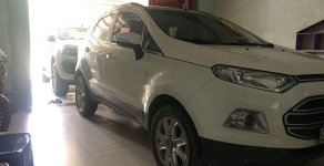 Ford EcoSport 2016 - Bán Ford EcoSport năm sản xuất 2016, màu trắng, giá tốt giá 450 triệu tại Quảng Nam