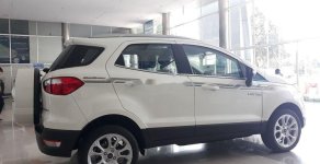 Ford EcoSport 2019 - Bán xe Ford EcoSport 2019, màu trắng giá 619 triệu tại Đà Nẵng