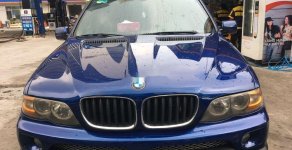 BMW X5 2006 - Cần bán BMW X5 năm sản xuất 2006, nhập khẩu, chính chủ giá 545 triệu tại Tp.HCM