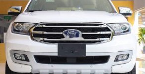 Ford Everest 2019 - Bán Ford Everest sản xuất 2019, nhập khẩu nguyên chiếc giá 1 tỷ 117 tr tại Quảng Ninh