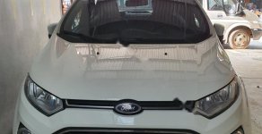 Ford EcoSport Titanium 2016 - Chính chủ bán Ford EcoSport Titanium đời 2016, màu trắng, nhập khẩu giá 510 triệu tại Hưng Yên