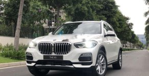 BMW X5 2019 - Cần bán xe BMW X5 sản xuất năm 2019, màu trắng giá 4 tỷ 199 tr tại Tp.HCM