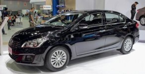 Suzuki Ciaz 2019 - Bán ô tô Suzuki Ciaz năm 2019, xe nhập giá 499 triệu tại Tp.HCM