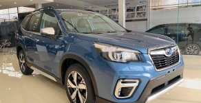 Subaru Forester 2019 - Bán Subaru Forester 2019, xe nhập giá tốt giá 960 triệu tại Tp.HCM