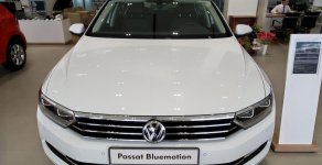 Volkswagen Passat 2019 - Cần bán Volkswagen Passat đời 2019, màu trắng, nhập khẩu giá 1 tỷ 266 tr tại Tp.HCM